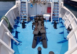 Go 1538 - Day Cruise Ship - 40m