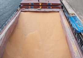 Go 1886 - General Cargo Vessel - 115m