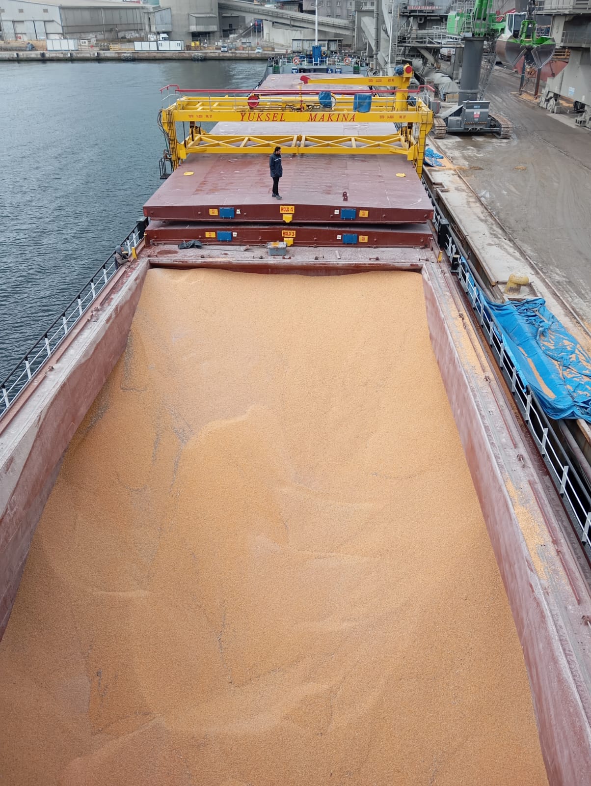 Go 1886 - General Cargo Vessel - 115m